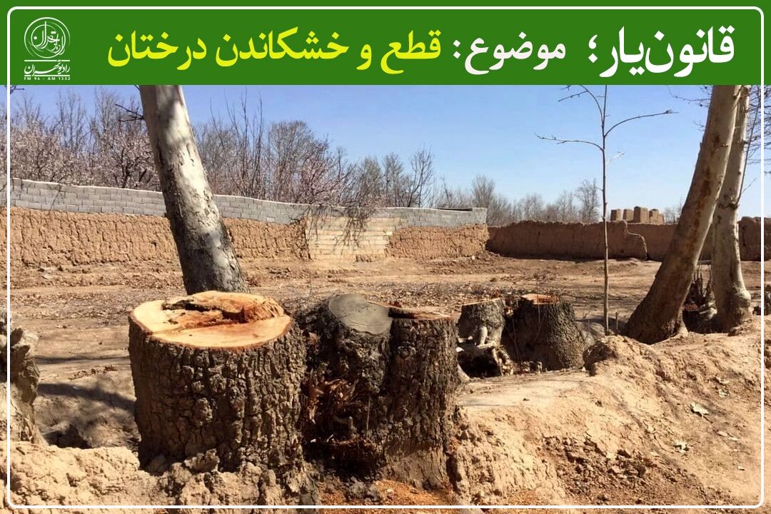 چه نهادی مرجع رسیدگی به تخلف قطع یا خشكاندن درختان است؟