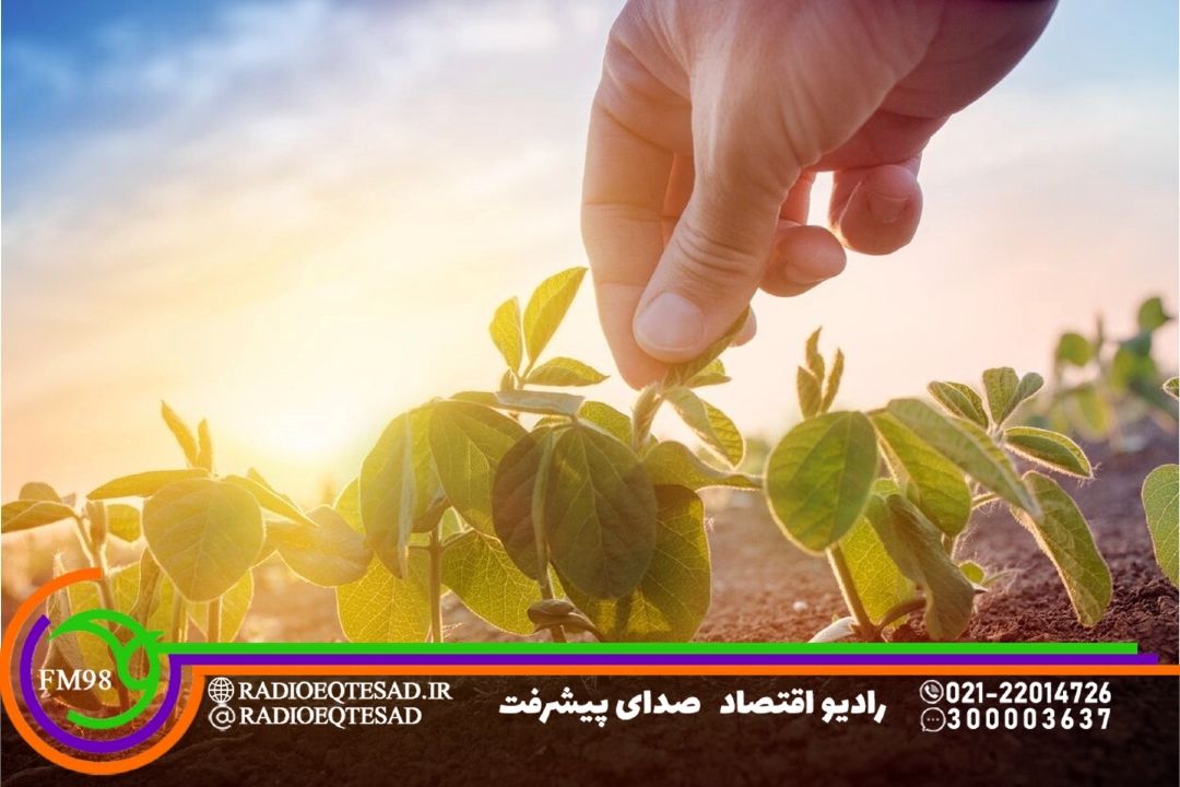  فناوری هسته‌ای راهكار كلیدی برای مقابله با چالش‌های بخش كشاورزی