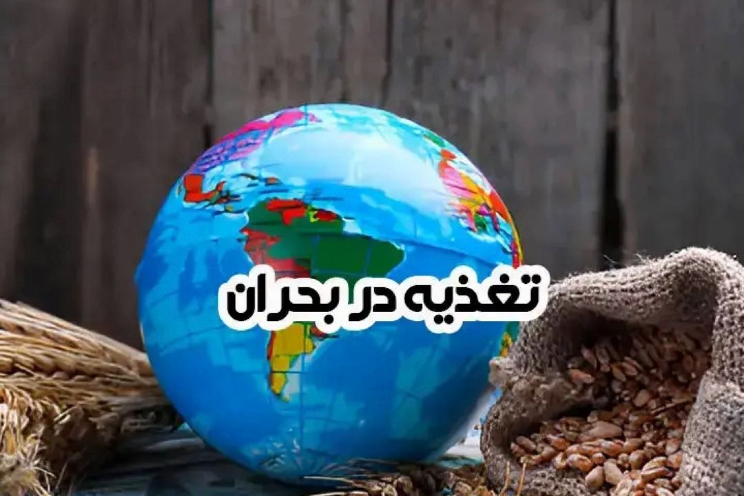 تمهیدات تغذیه ای وزارت بهداشت در جنگ 12 روزه