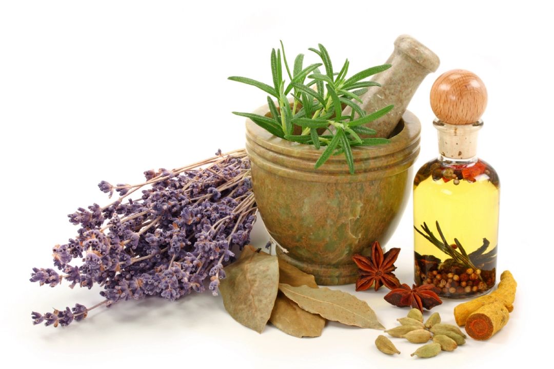 منهای نفت - پرورش گیاهان دارویی
