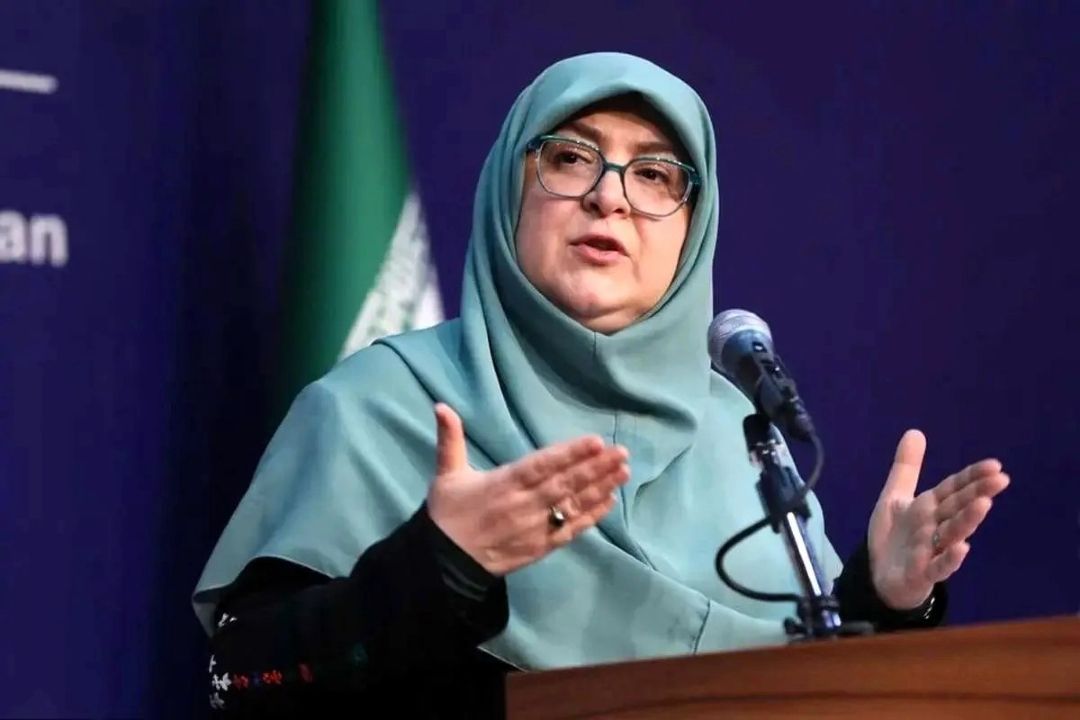گفتگو با یك دولت‌زن