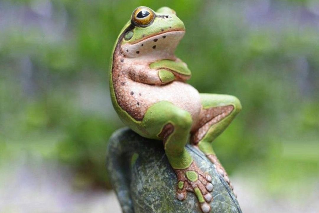 بازی با قورباغه‌ها