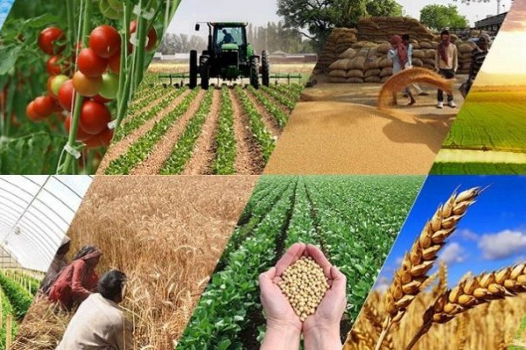 نگاهی تصویری به نوآوری‌های كشاورزی در برنامه «از مزرعه تا سفره»