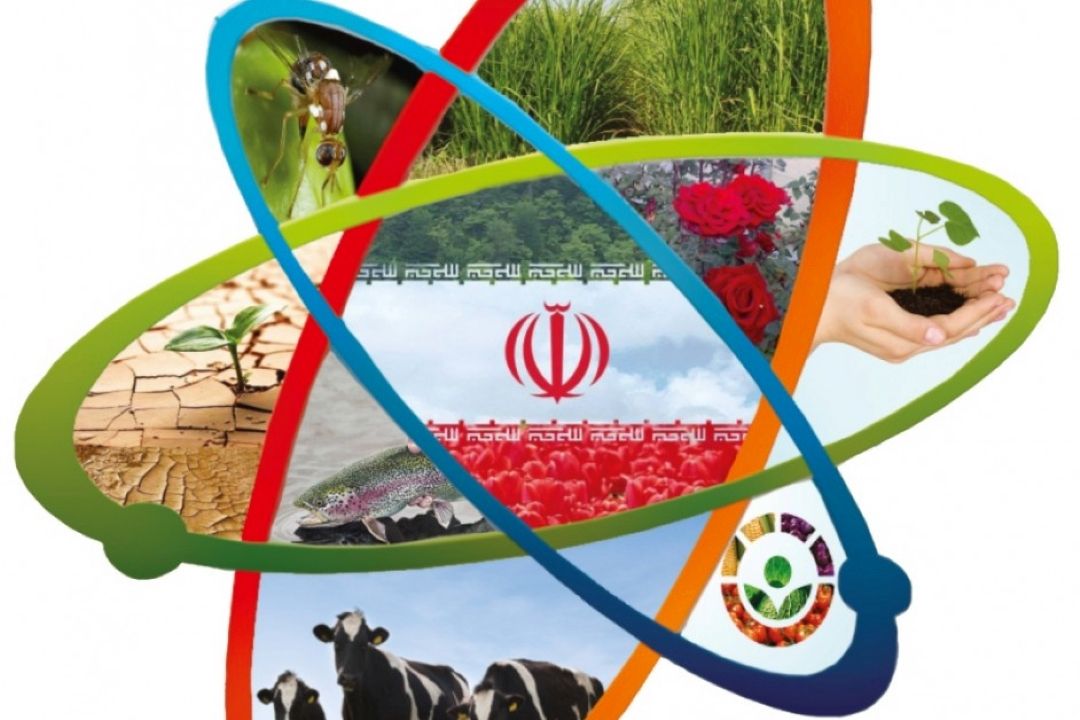 نقش فناوری هسته‌ای در ارتقای ایمنی و كیفیت مواد غذایی