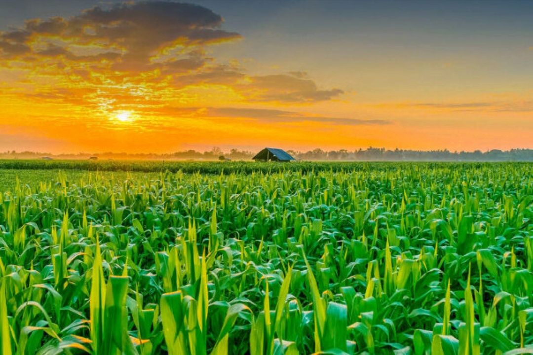 فناوری هسته‌ای، ناجی صنایع غذایی ایران 