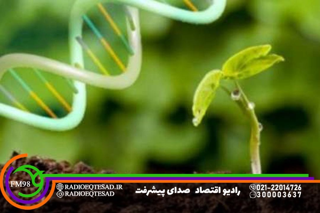 كاربرد فناوری‌های هسته‌ای در كشاورزی