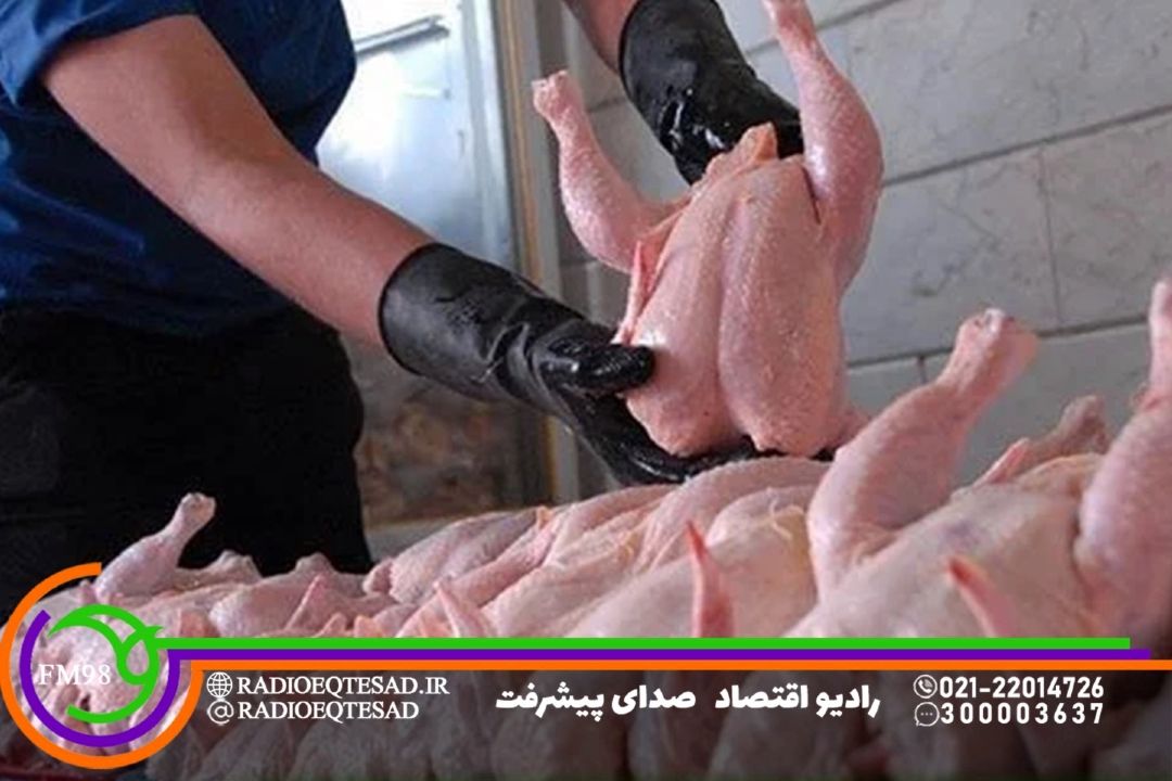  تشكل‌ها هیچ وقت تعیین كننده قیمت مرغ نبودند