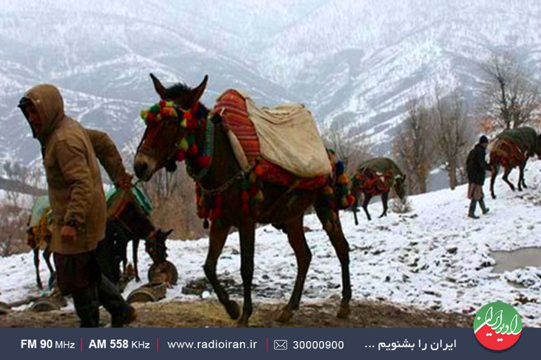 حیوانات باربر در نقاط مختلف ایران