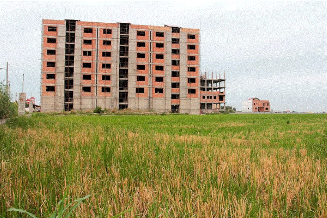 هوش مصنوعی پاسخ می‌دهد