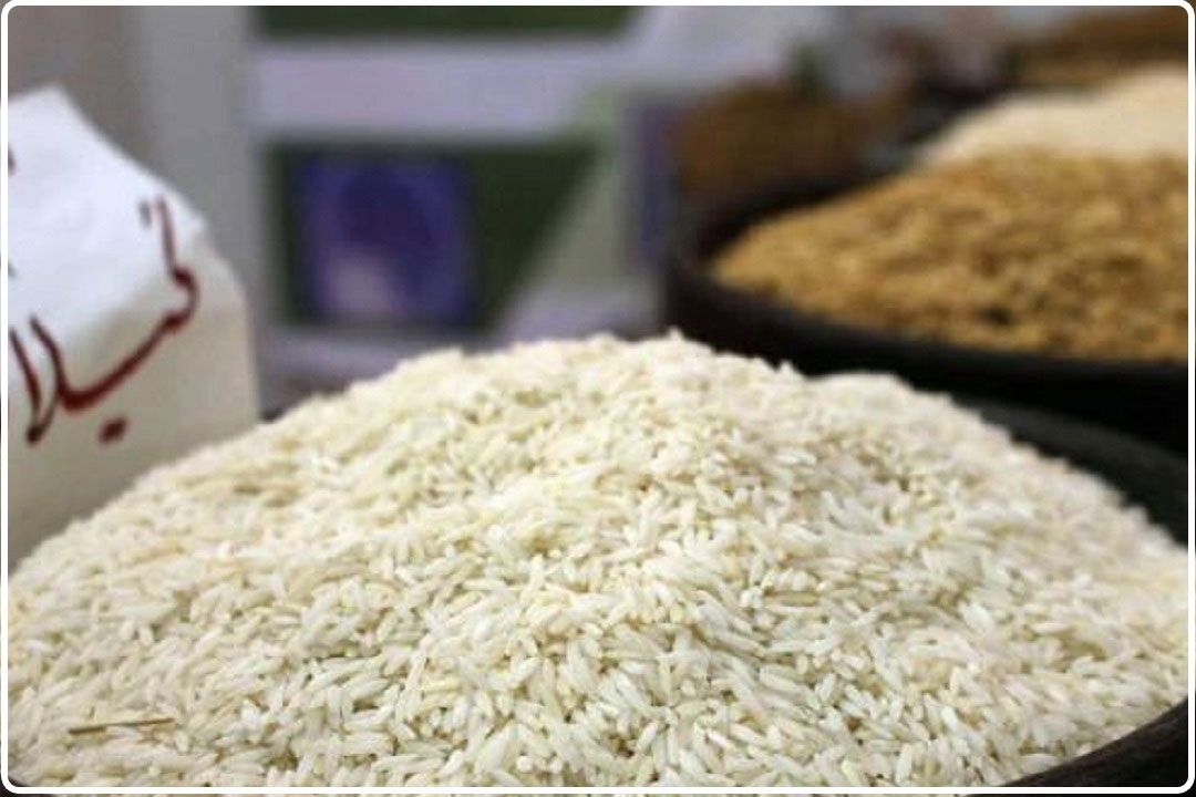 نوسانات قیمت برنج و چالش‌های بازار/ وعده توزیع برنج تنظیم بازاری محقق می‌شود؟