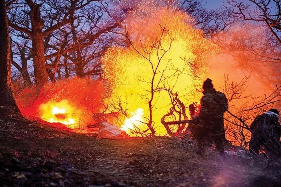 آتش‌سوزی جنگل هیركانی عمدی بوده است؟