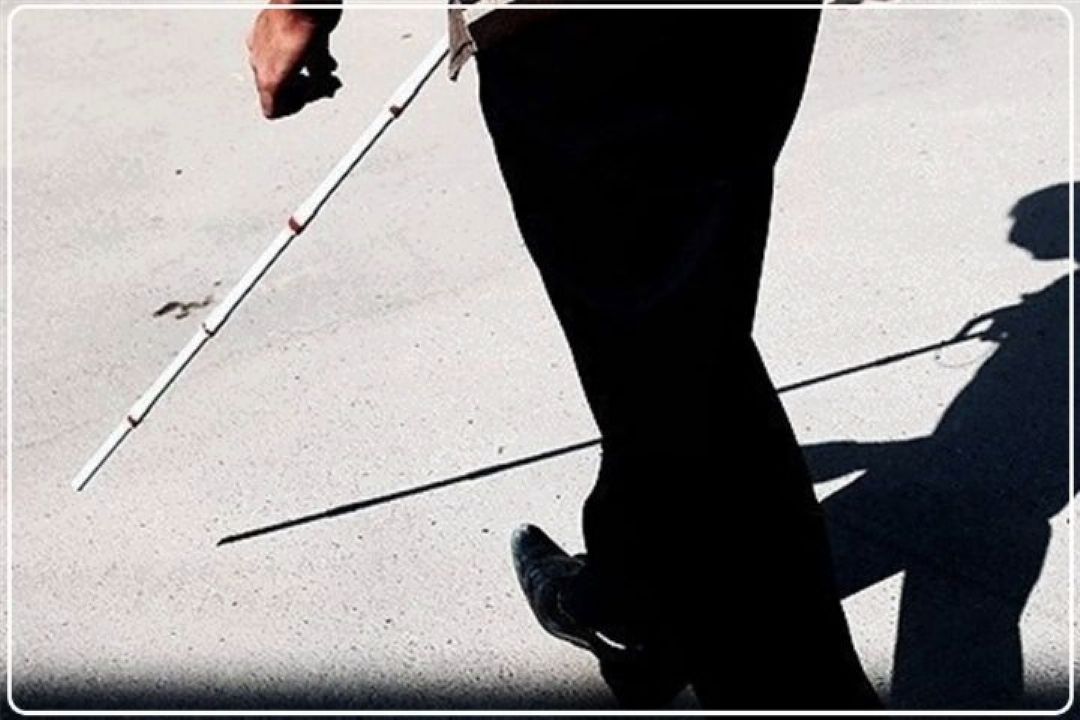 صفاری‌فرد تأكید كرد: جامعه باید افراد دارای معلولیت را باور داشته باشد