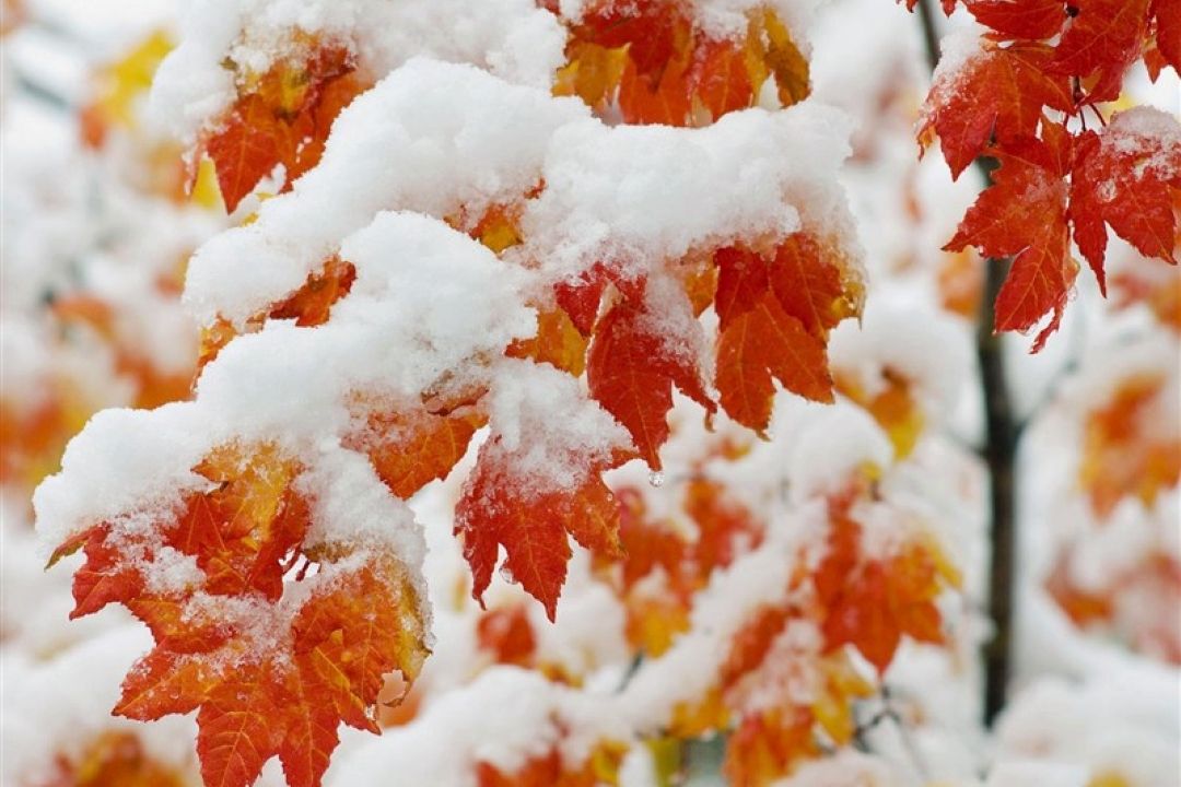 هواشناسی ایران1404/9/16؛برف و باران در 23 استان/هشدار نارنجی برای 17 استان