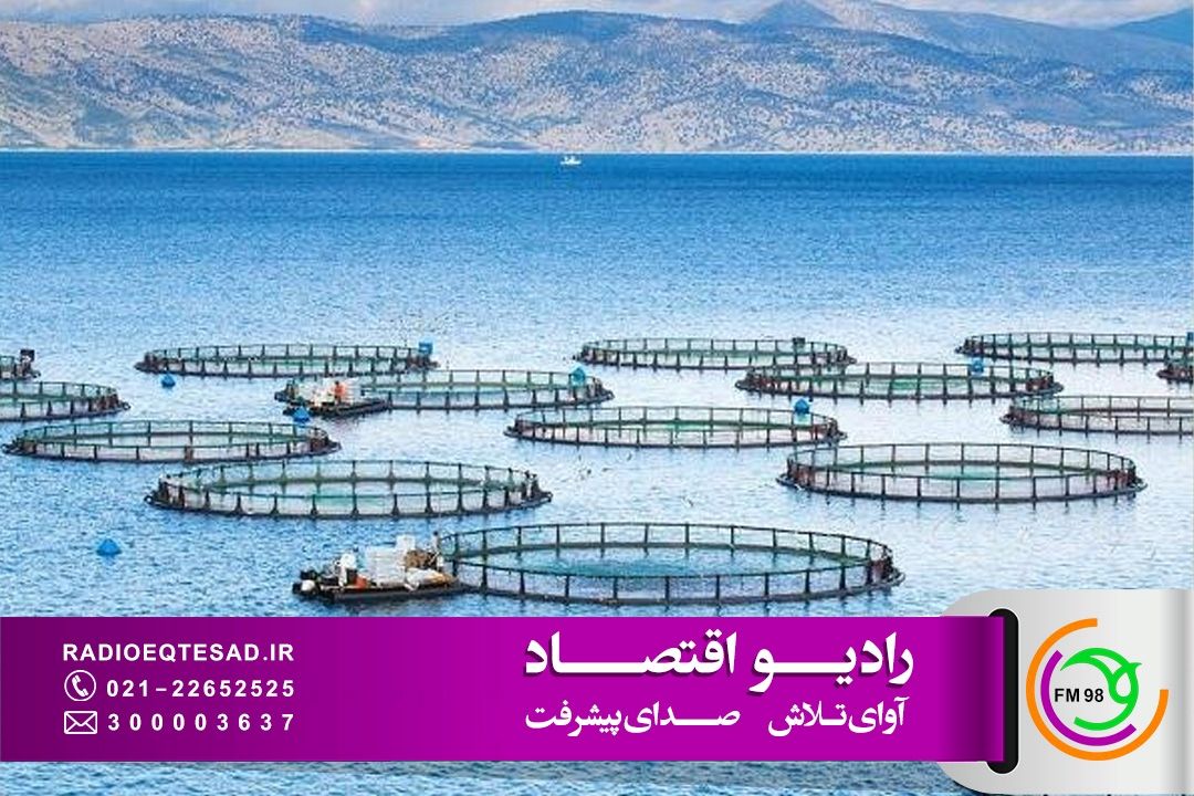 سهم شیلات در تحقق سند امنیت غذایی ایران 2.6 میلیون تن در مسیر توسعه اقتصاد دریامحور