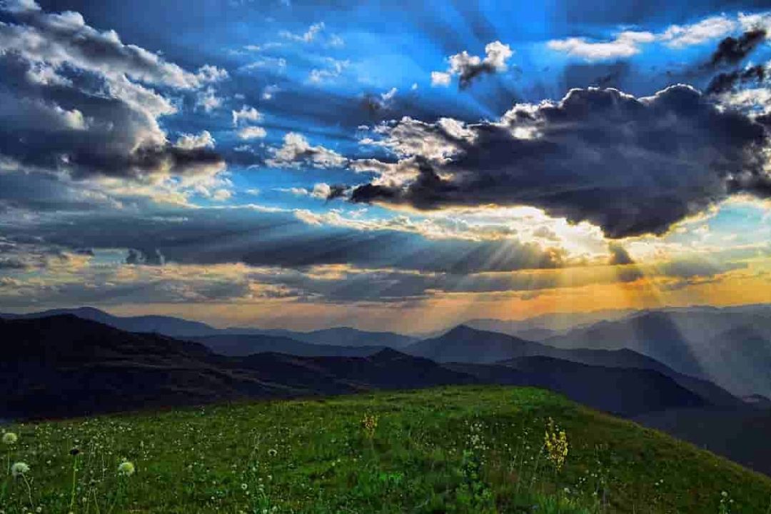 گل افرا؛ پیوند دشت، جنگل و خلیج در بندرگز