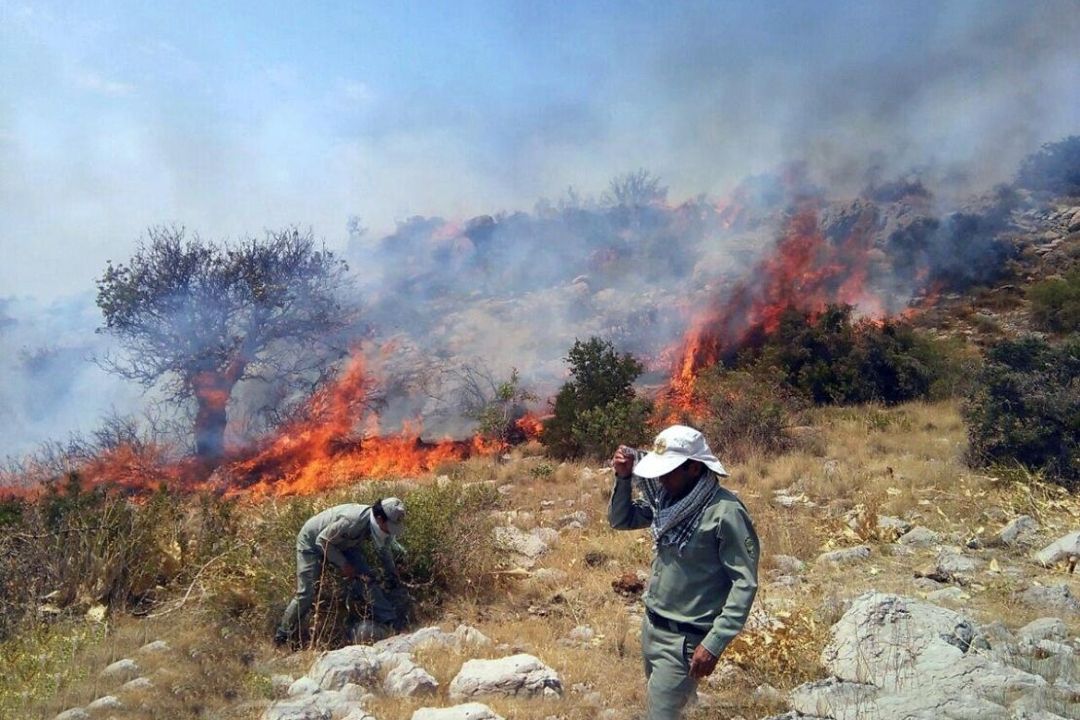  تغییر اقلیم و افزایش دمای زمین؛ متهمان اصلی رشد آتش‌سوزی‌ها