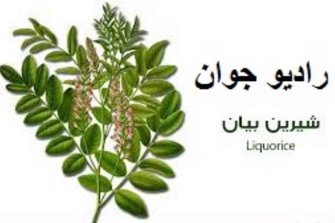 پشت صحنه شیرین بیان