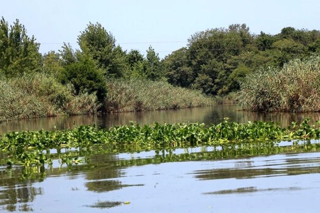 لزوم تامین حقابه و سنددار شدن حریم تالاب‌ها برای مقابله با بحران‌های زیست‌محیطی