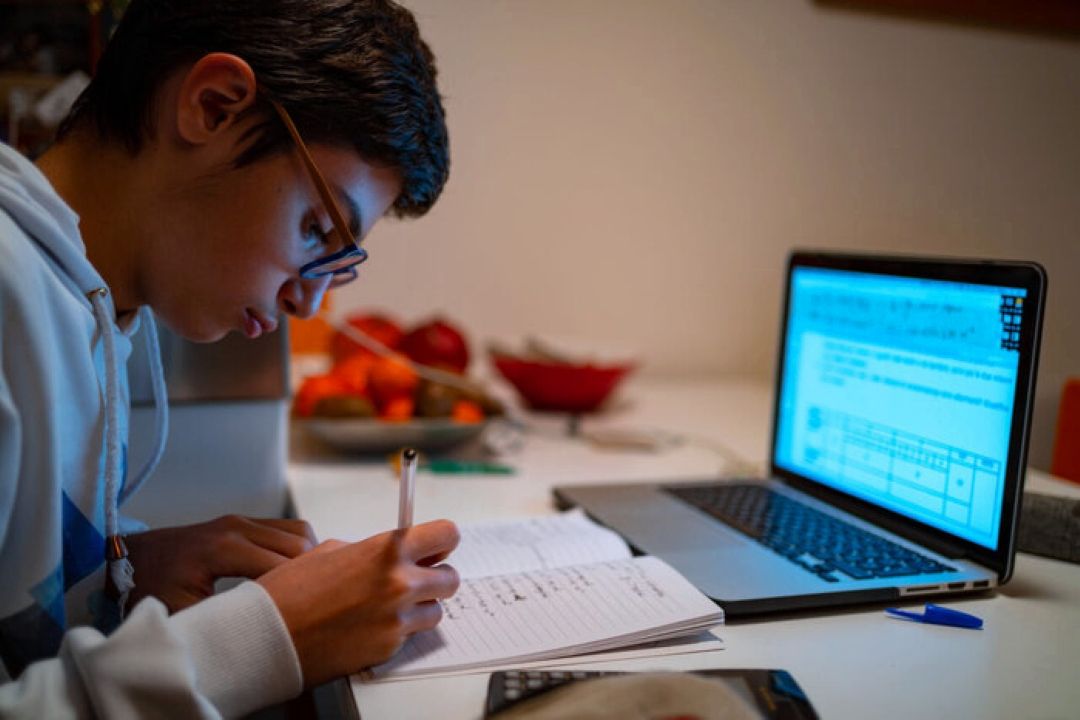 نبود سواد دیجیتال زمینه ساز ناامیدی و انزوا در نسل نوجوان است