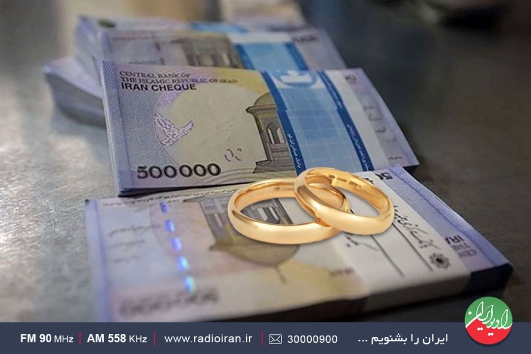 سخنگوی سازمان برنامه‌و‌بودجه در برنامه نمودار 