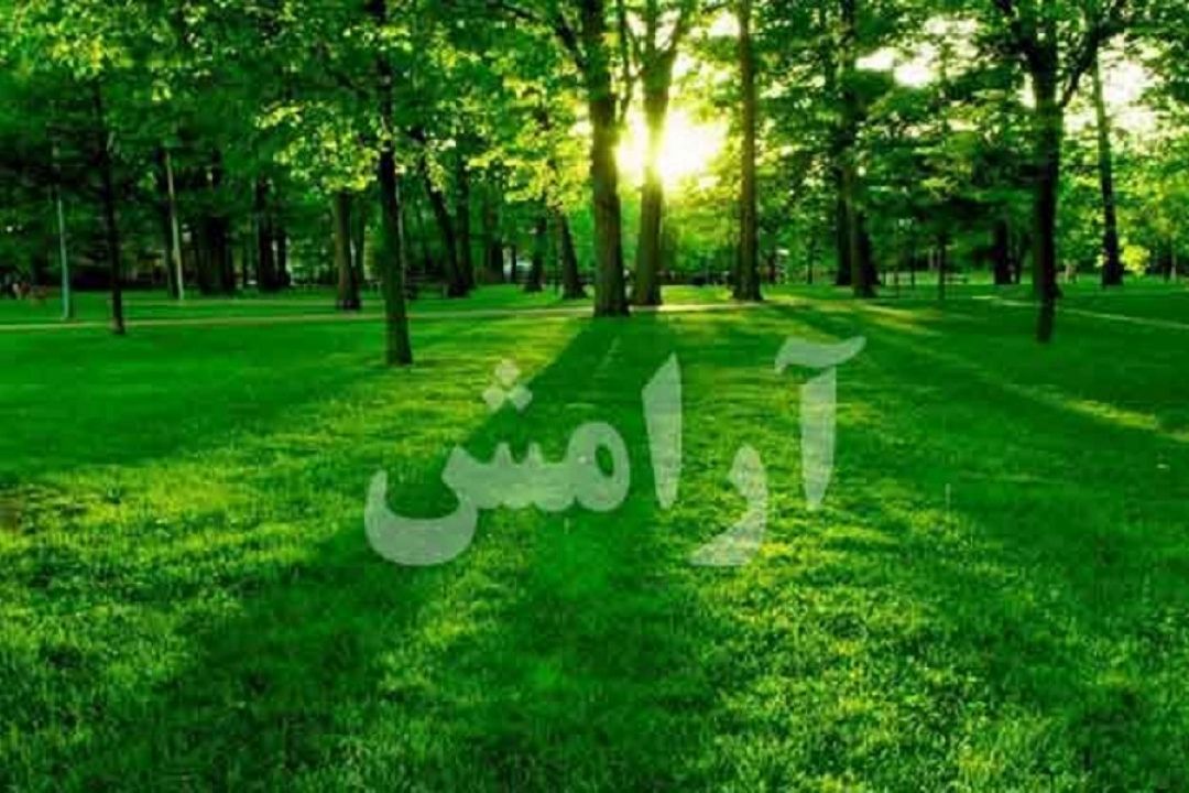 آرامش در محیط زندگی