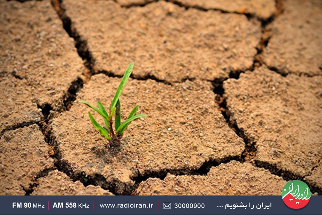 «سبزینه» اهمیت خاك و حفاظت از آن را بررسی می‌كند