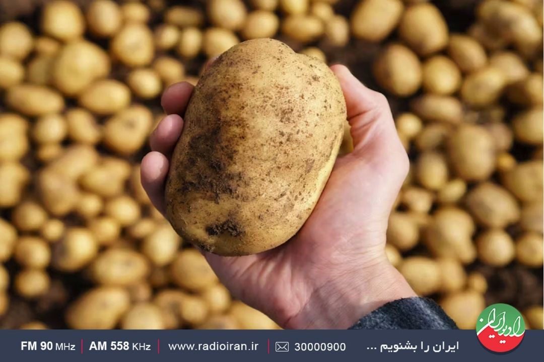 زیرساخت‌ها برای عرضه‌آماده است