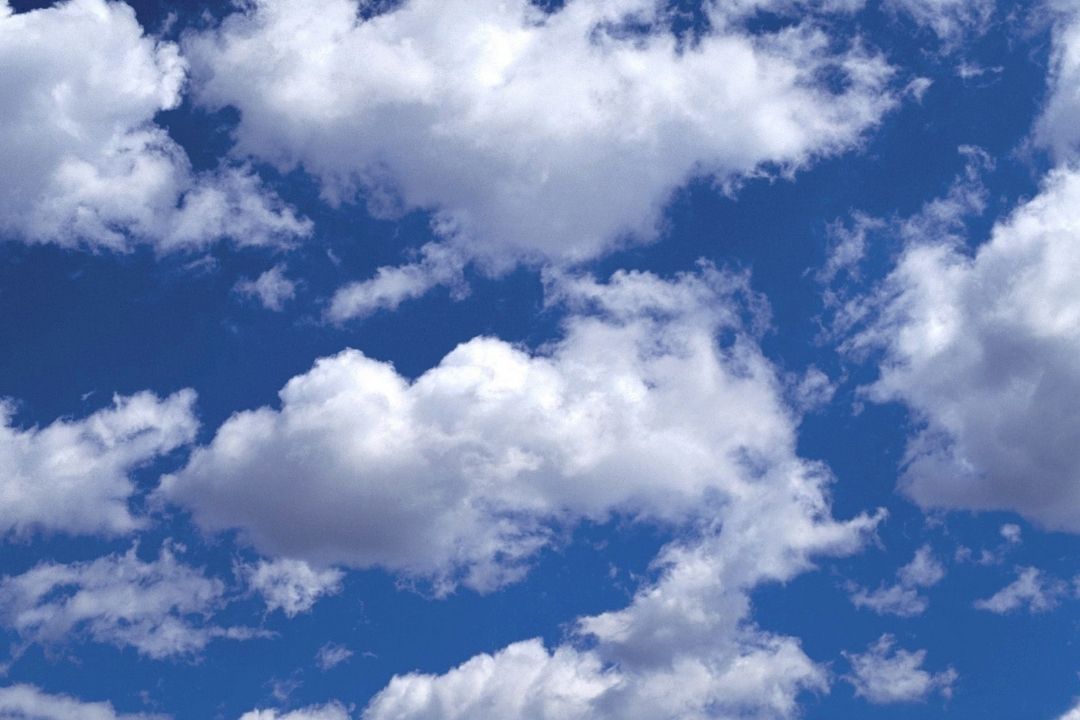  " به رنگ سپیده " در 95/08/05