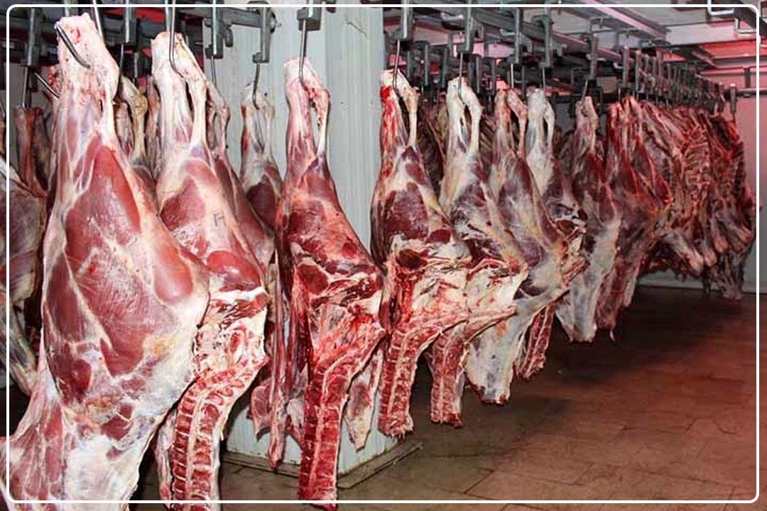 بازار گوشت قرمز در ثبات كامل است / واردات 57 هزار تن گوشت در دو ماه اخیر