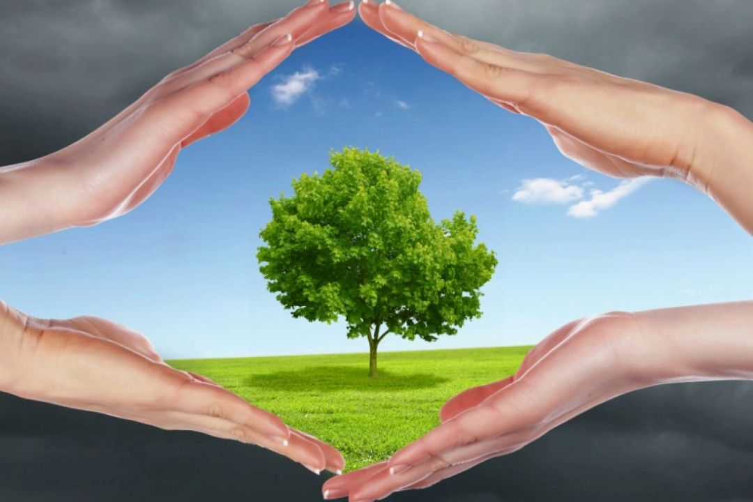 خرید اینترنتی و فروشگاه‌های اینترنتی
