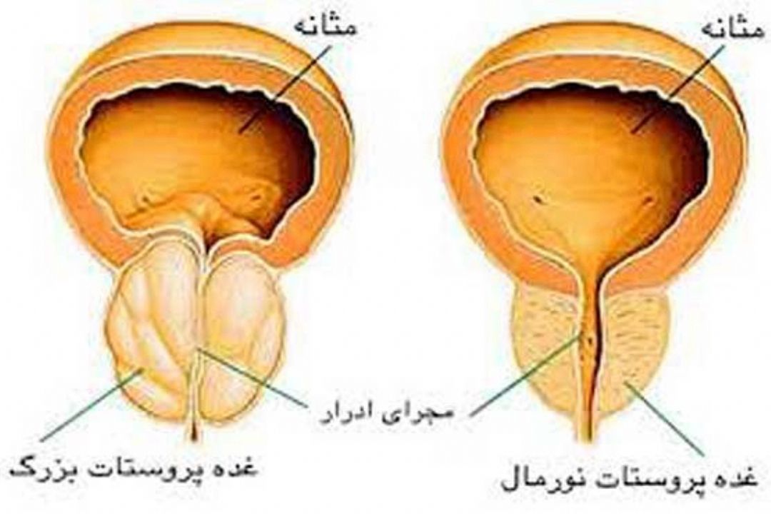 نبض