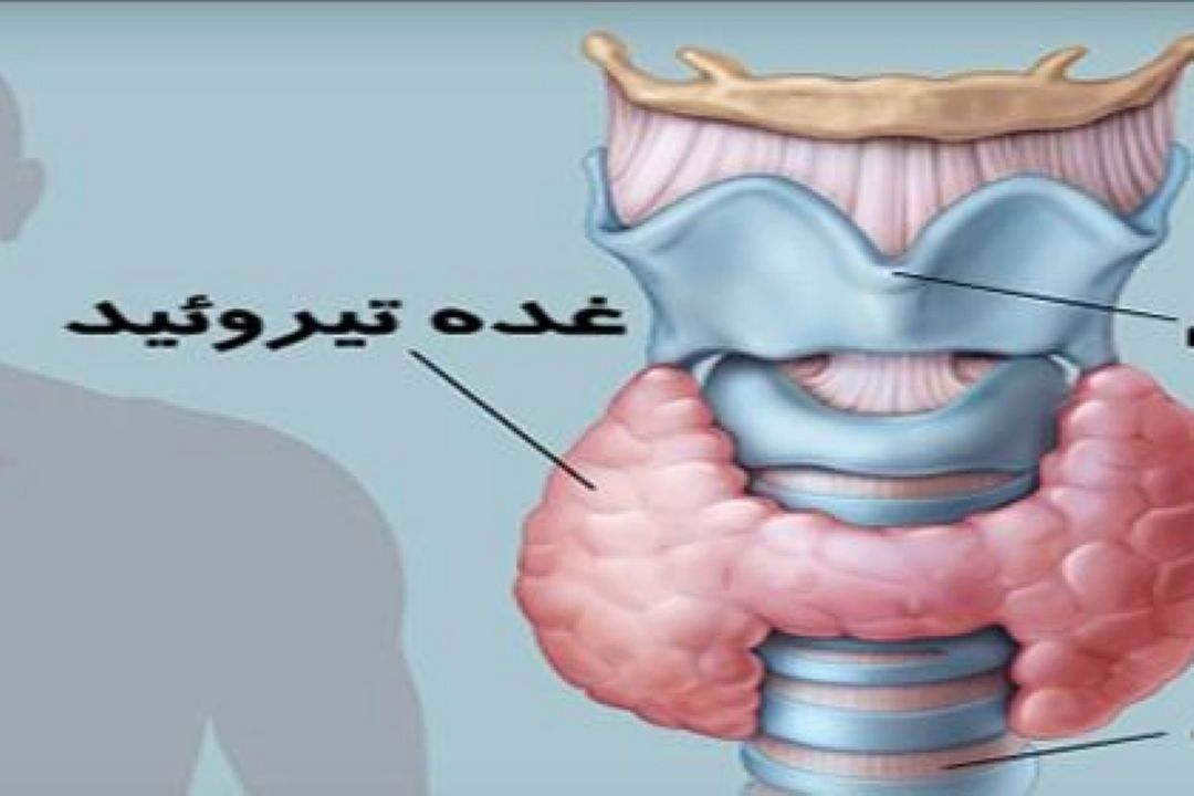 در برنامه نبض یكشنبه ششم اسفند درباره درمان كم كاری تیرویید صحبت میكنیم