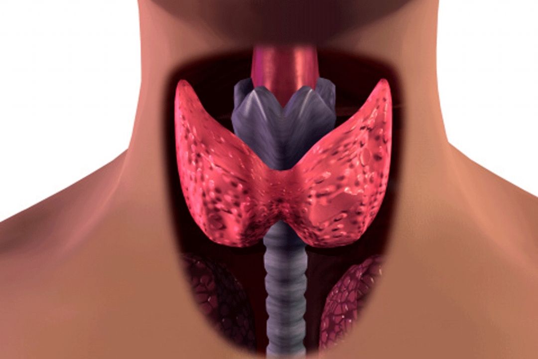  «مجله پزشكی» از هایپو تیروئید می گوید