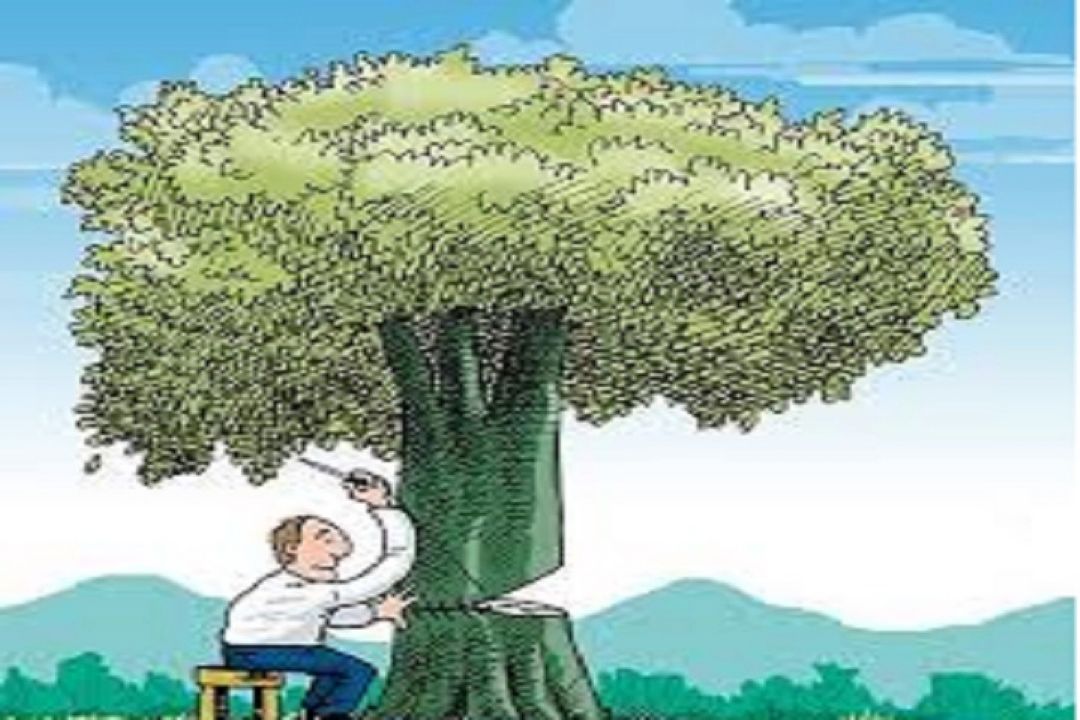ماجرای آب و درختكاری 