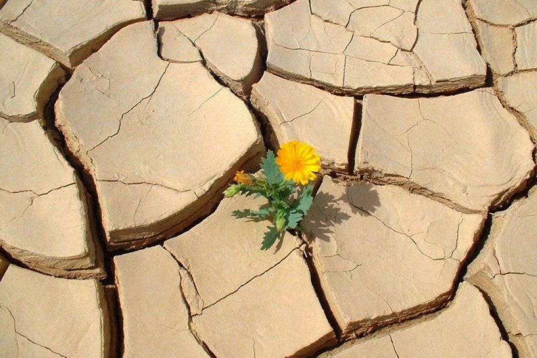 منهای نفت - ظرفیت های اقتصادی كویر