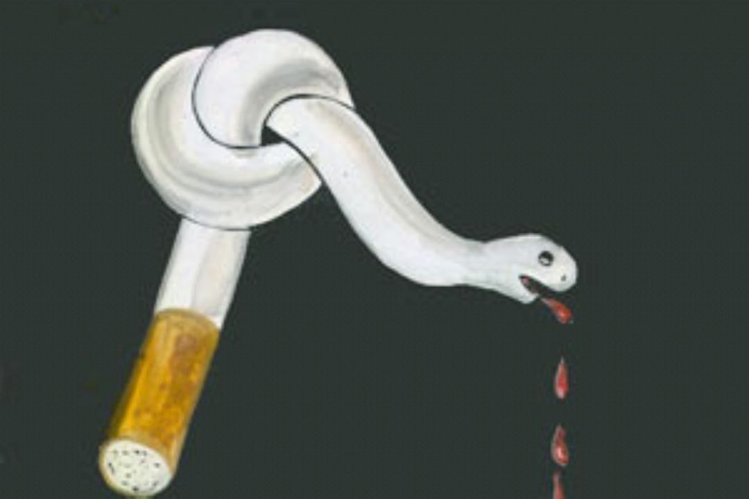نبض