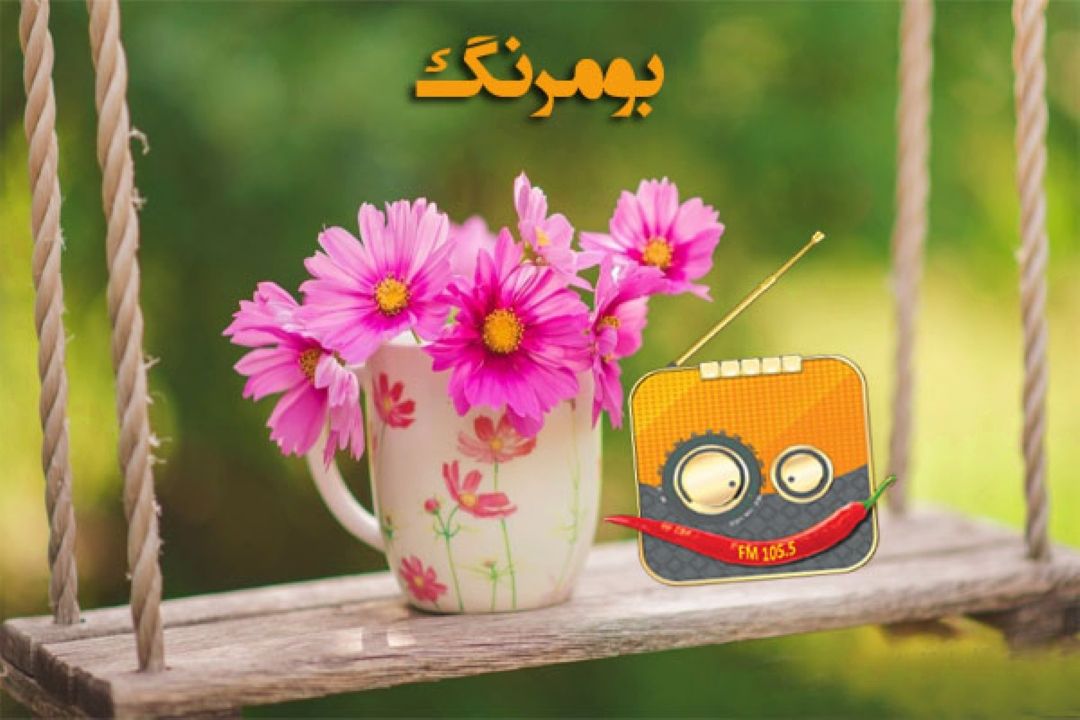 با هم بخشی از اجرای برنامه "بومرنگ" را ببینیم 