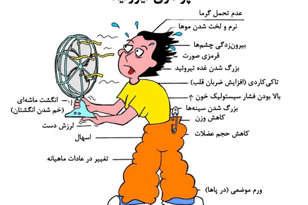 نبض