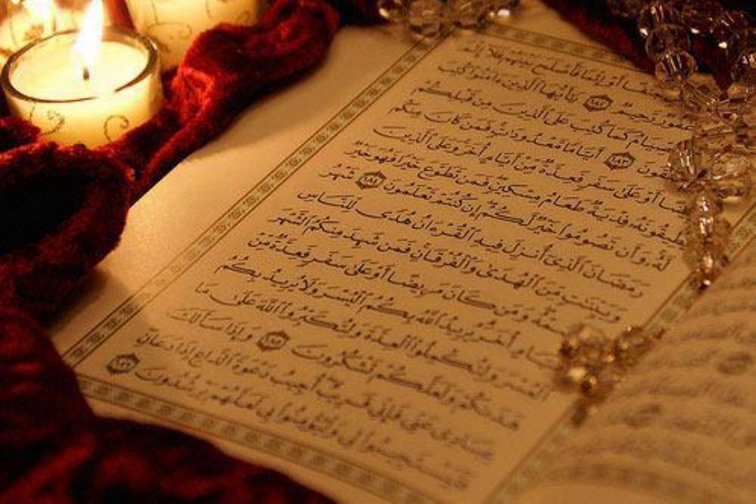 " به رنگ سپیده " در 95/08/21