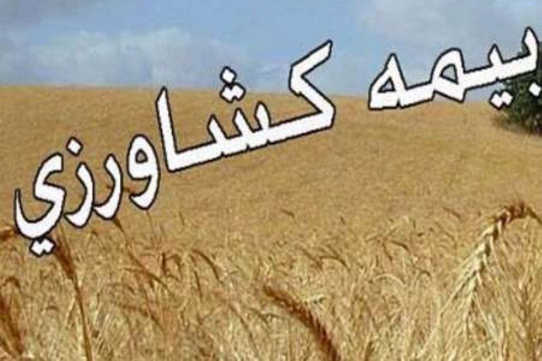 باید در جهت بهبود فعالیت اقتصادی تلاش كنیم