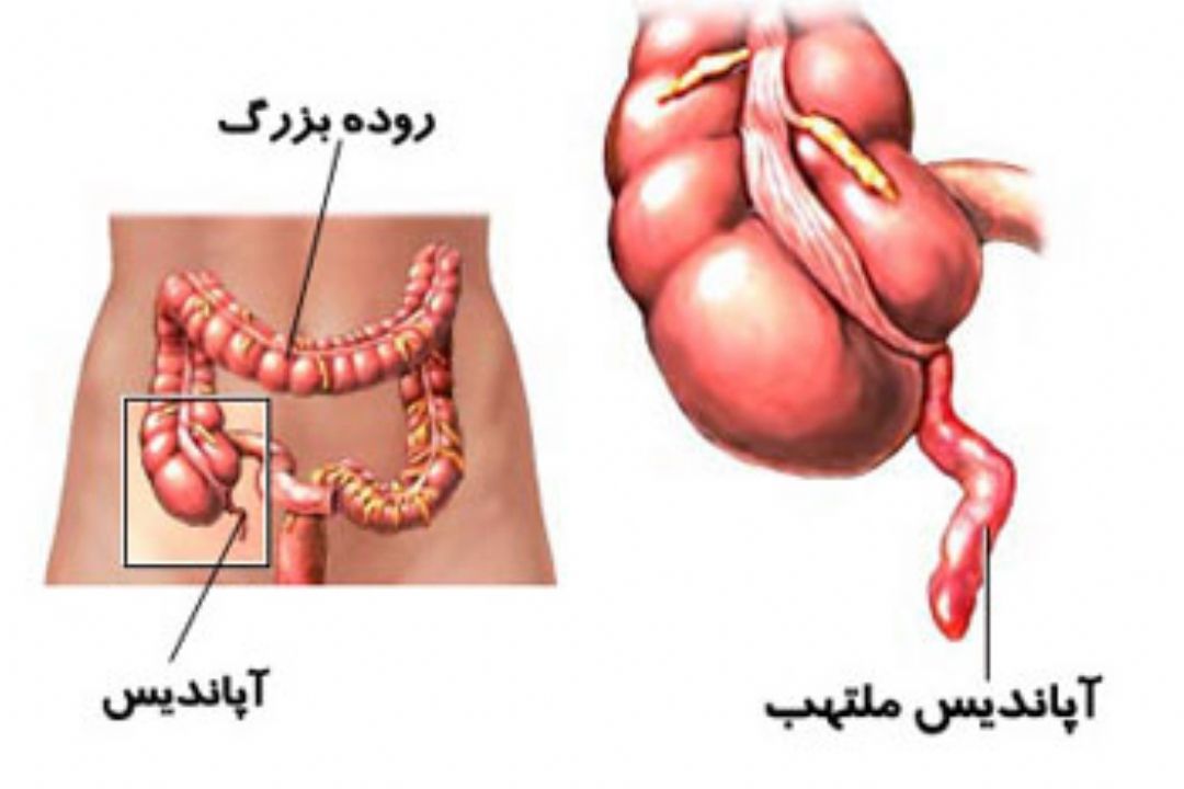 نبض