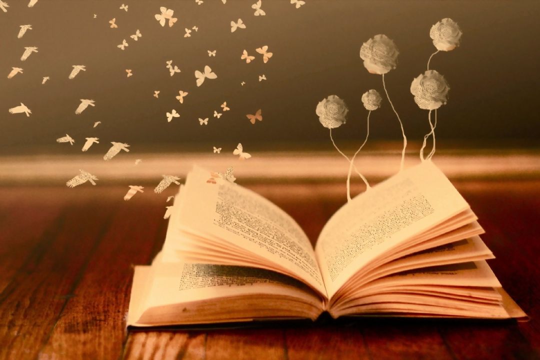 قدم زدن در كلمات