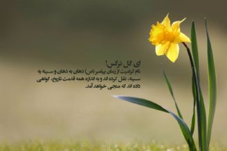 آغاز امامت حضرت ولی عصر(عج)