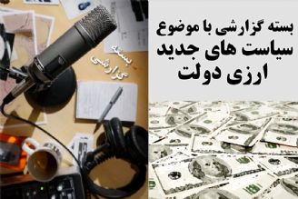 سیاست های جدید ارزی دولت