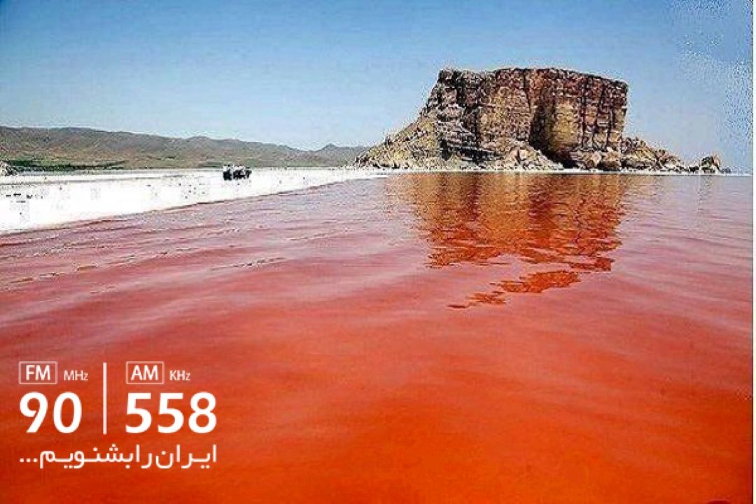 تكثیر باكتری های شور پسند؛ باعث تغییر رنگ دریاچه ارومیه شده است 