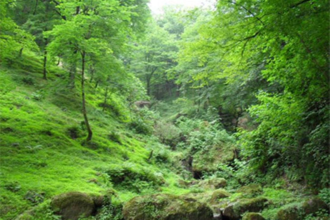 گردشگری مجازی 
