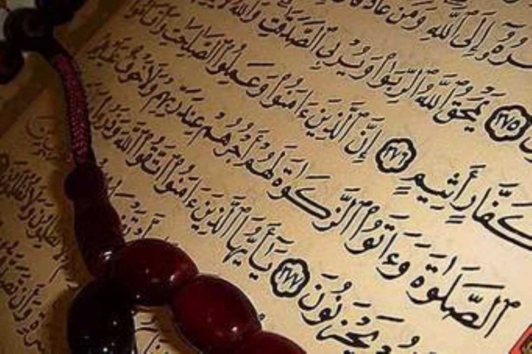 " به رنگ سپیده " در 95/09/29