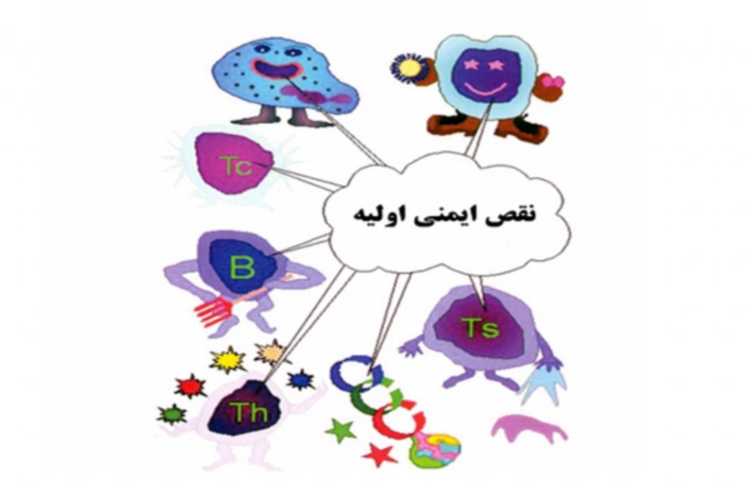 نبض