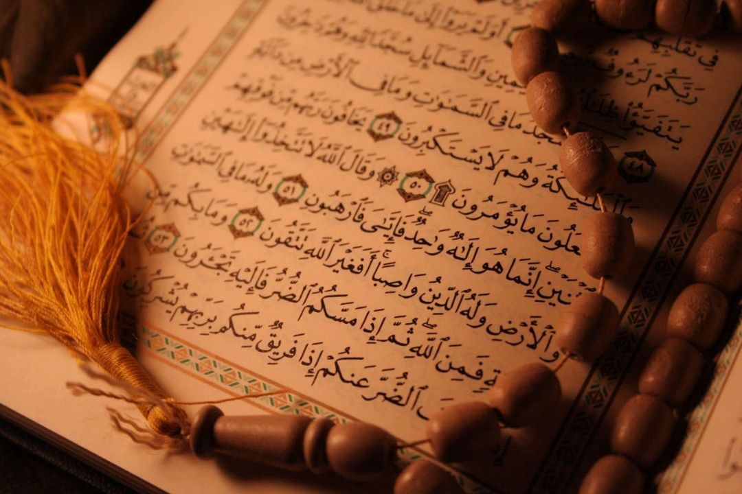 "به رنگ سپیده" در 95/11/01