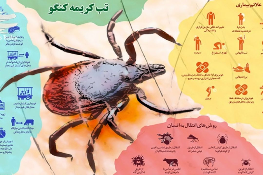 در برنامه نبض یكشنبه پانزدهم مهر درباره تب كریمه كنگو صحبت شد